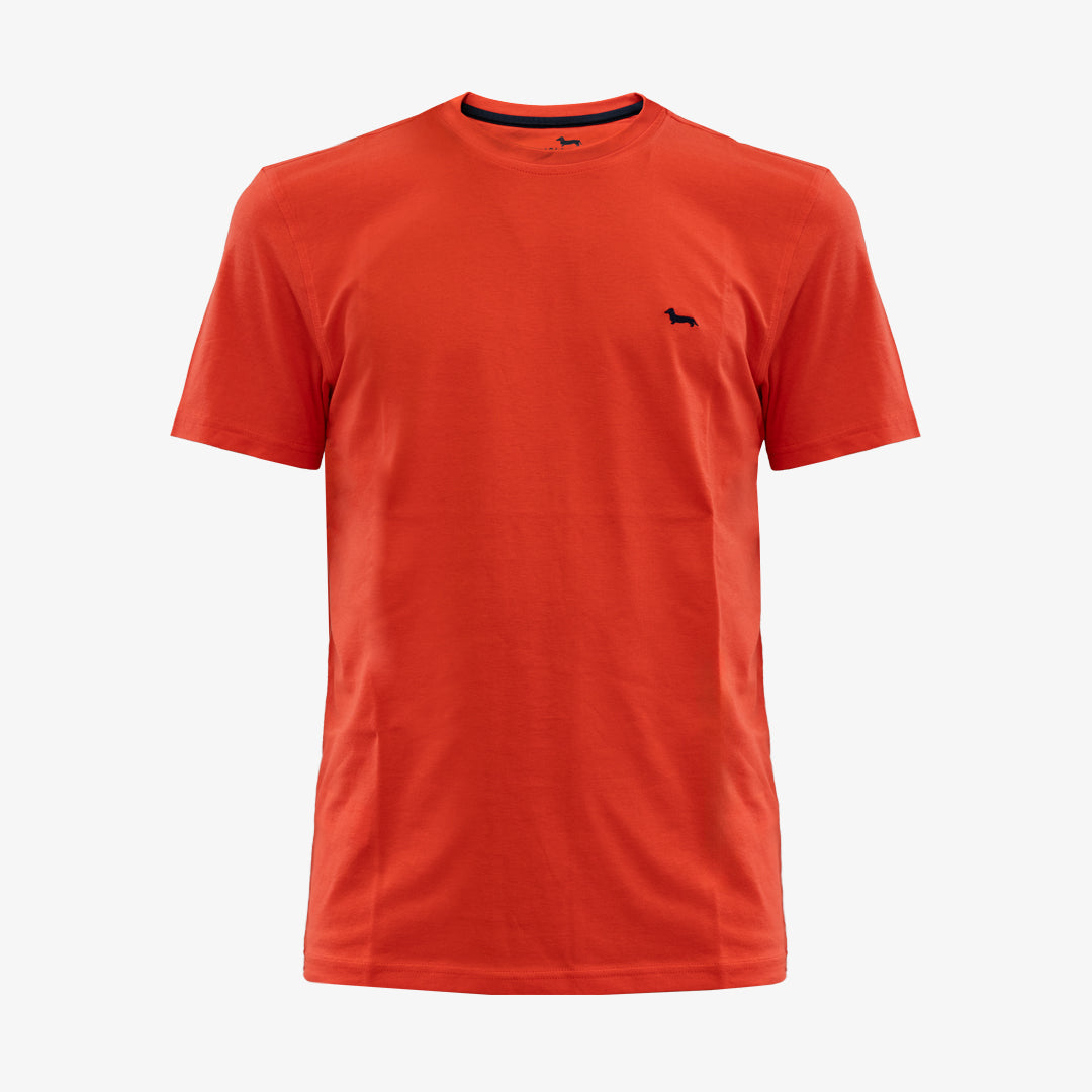 T-SHIRT HARMONT&BLAINE UOMO