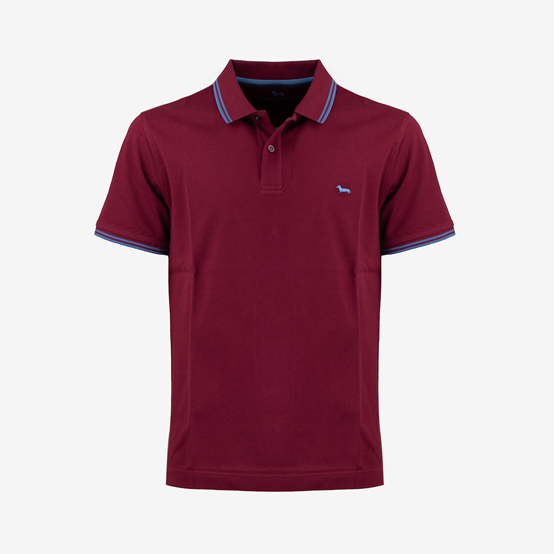 POLO HARMONT&BLAINE UOMO