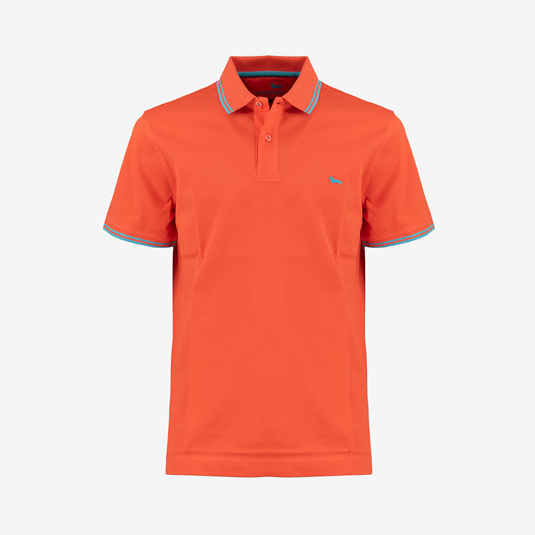POLO HARMONT&BLAINE UOMO