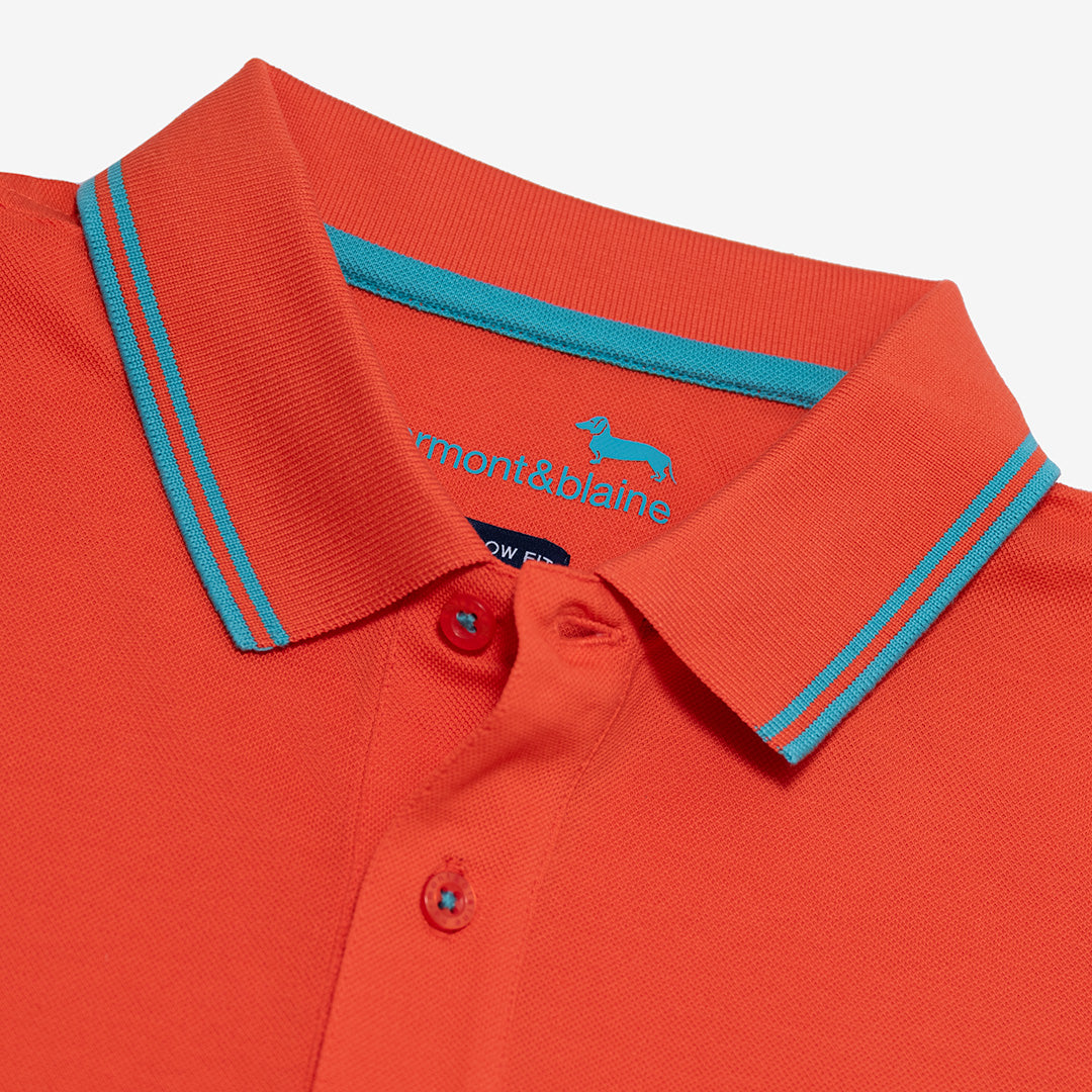 POLO HARMONT&BLAINE UOMO