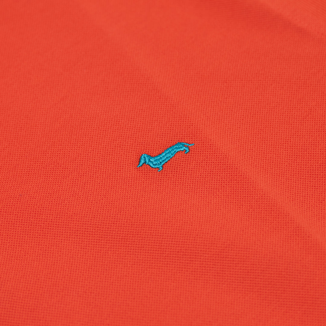 POLO HARMONT&BLAINE UOMO