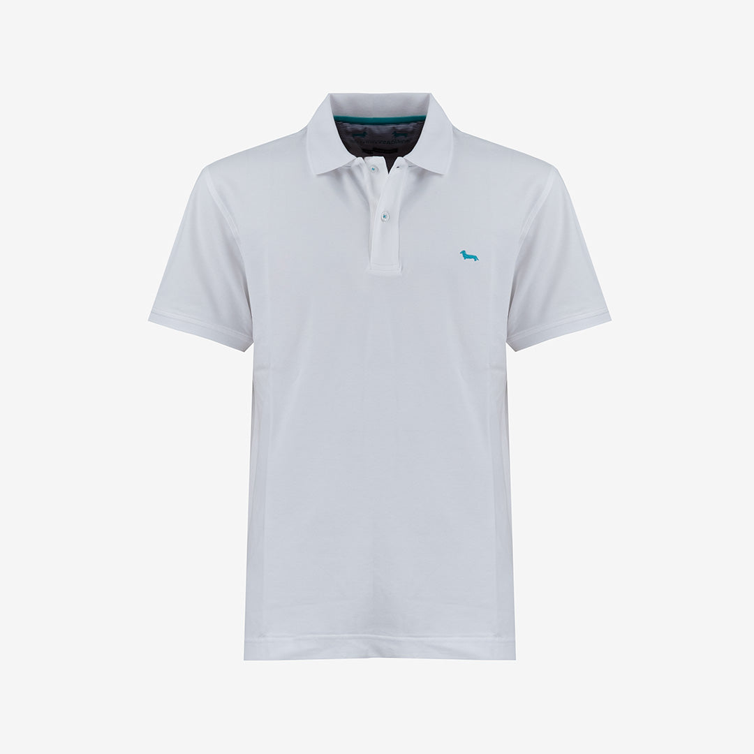 POLO HARMONT&BLAINE UOMO