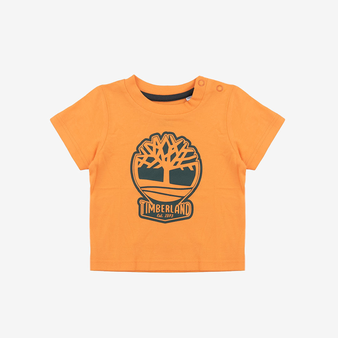 T-SHIRT TIMBERLAND BAMBINO - NUOVI ARRIVI SS
